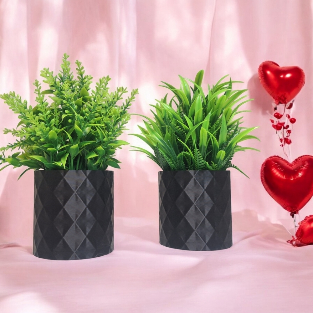 2 pack small planter! Homemade! Desktop planter!